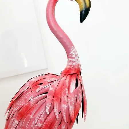 Casa Flamingo Apartment