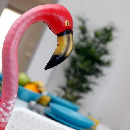 Casa Flamingo 아파트